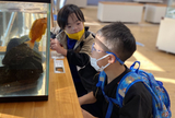 03「校外学習」渚ミュージアムでいろんな魚を観察しました。