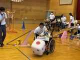 【⑥お助けマンは何番の保護者かな？】ﾄﾘIMG_2151(藤田ｻｲｺﾛ)